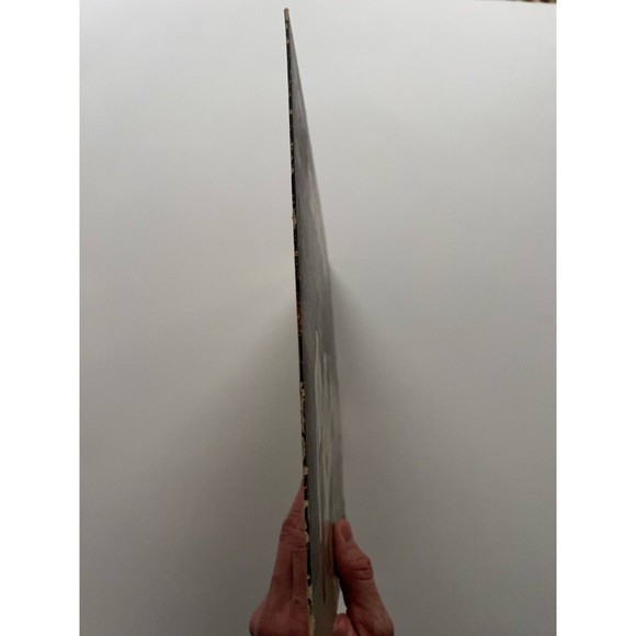 Grupo Sin-Ahi Self Titled 1983 LP Moni Records 1005 Discos Joey VG+ - Picture 3 of 7